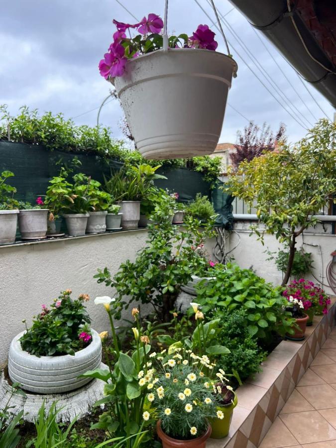סרנדה Goni Guest House מראה חיצוני תמונה