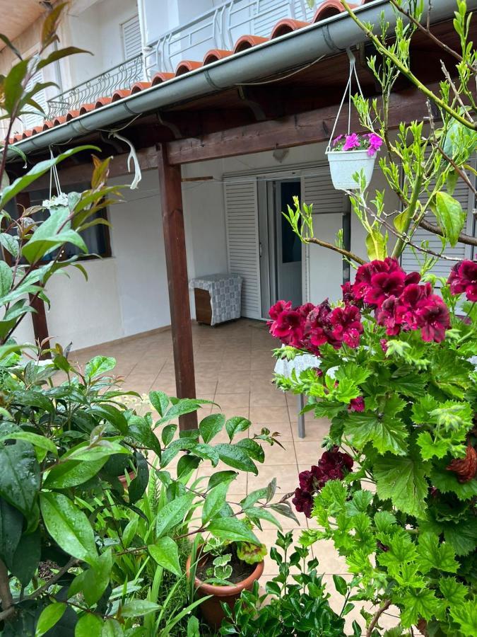 סרנדה Goni Guest House מראה חיצוני תמונה